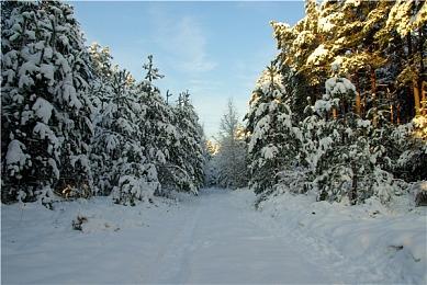 Epic喜加一：《渡渡鸟峰＆Dodo Peak》免费领！