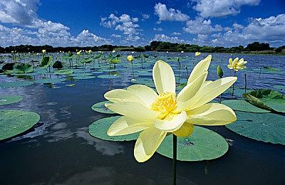 纸嫁衣工作室：正在开发新风格解密游戏